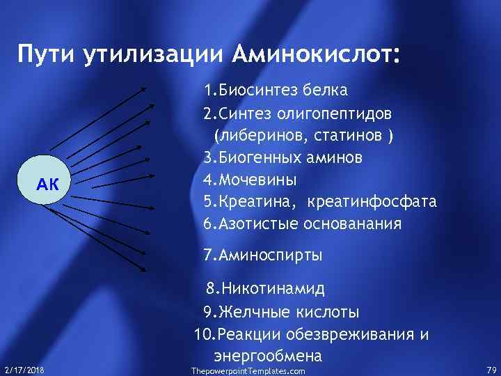 Пути утилизации Аминокислот: АК 1. Биосинтез белка 2. Синтез олигопептидов (либеринов, статинов ) 3.