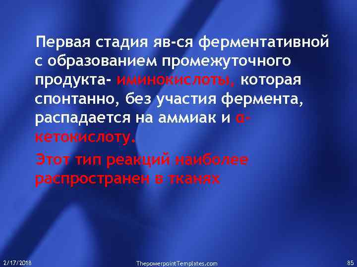 Первая стадия яв-ся ферментативной с образованием промежуточного продукта- иминокислоты, которая спонтанно, без участия фермента,