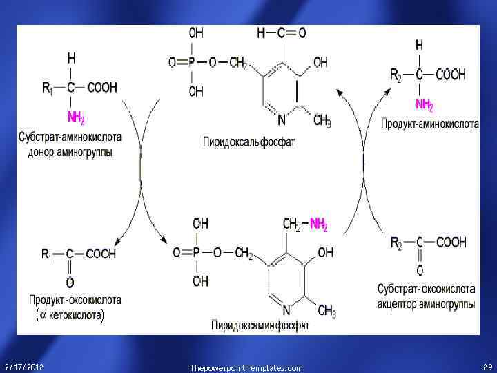 2/17/2018 Thepowerpoint. Templates. com 89 