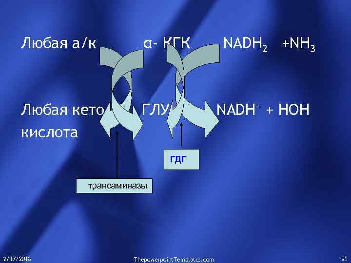 Любая а/к α- КГК Любая кето кислота ГЛУ NADH 2 +NН 3 NADH+ +