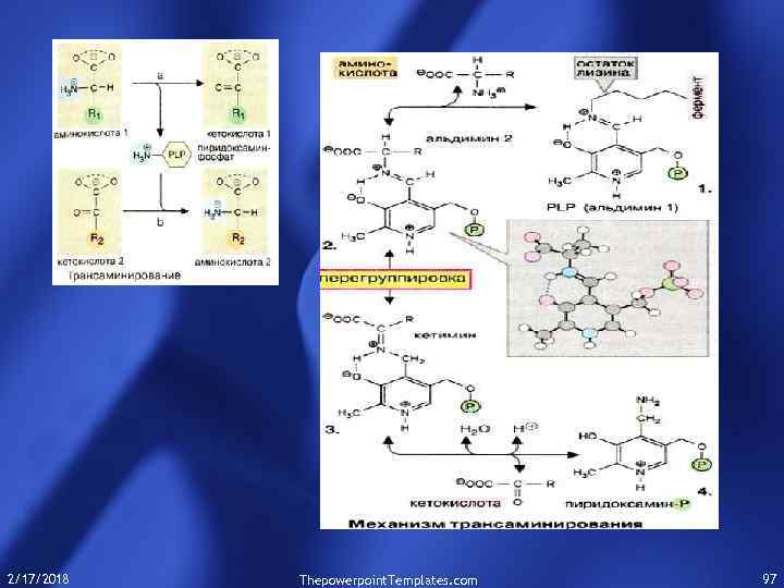 2/17/2018 Thepowerpoint. Templates. com 97 