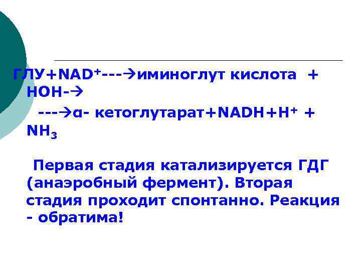 ГЛУ+NAD+--- иминоглут кислота + НОН- --- α- кетоглутарат+NADH+H+ + NH 3 Первая стадия катализируется