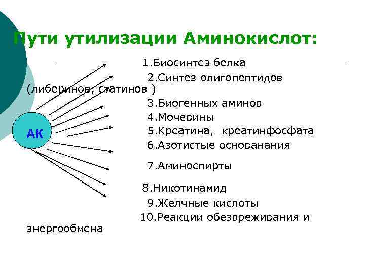 Пути утилизации Аминокислот: 1. Биосинтез белка 2. Синтез олигопептидов (либеринов, статинов ) 3. Биогенных