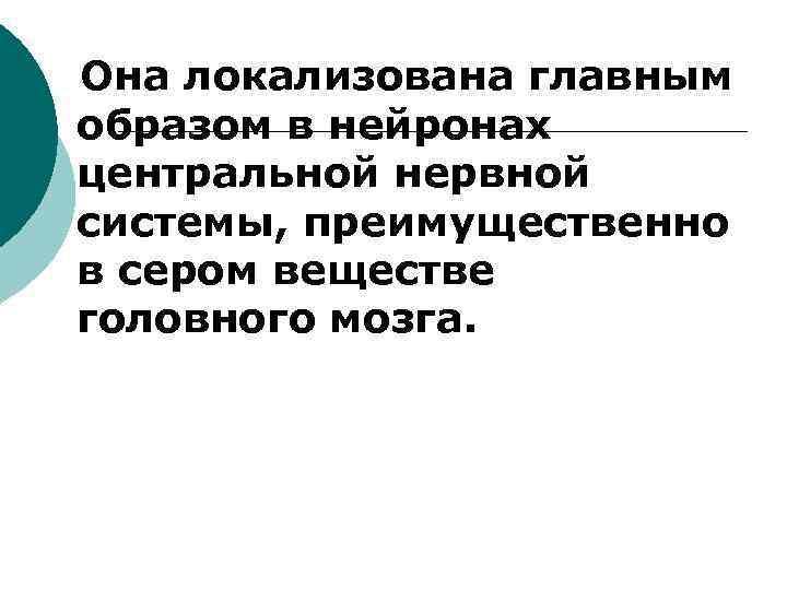 Она локализована главным образом в нейронах центральной нервной системы, преимущественно в сером веществе головного