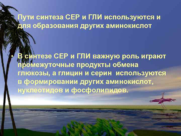 Пути синтеза СЕР и ГЛИ используются и для образования других аминокислот • В синтезе