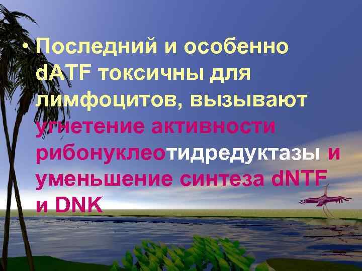  • Последний и особенно d. ATF токсичны для лимфоцитов, вызывают угнетение активности рибонуклеотидредуктазы