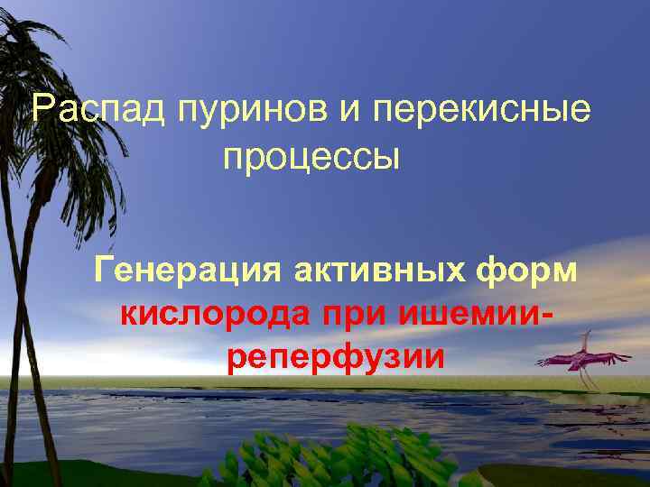 Распад пуринов и перекисные процессы Генерация активных форм кислорода при ишемииреперфузии 