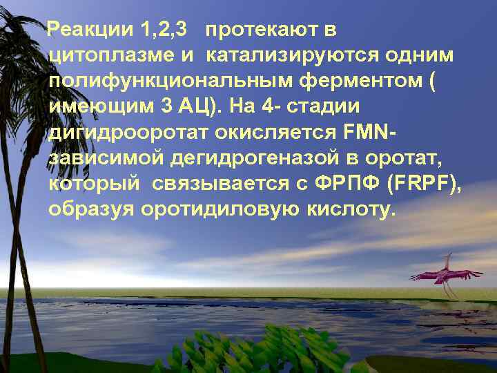 Реакции 1, 2, 3 протекают в цитоплазме и катализируются одним полифункциональным ферментом ( имеющим