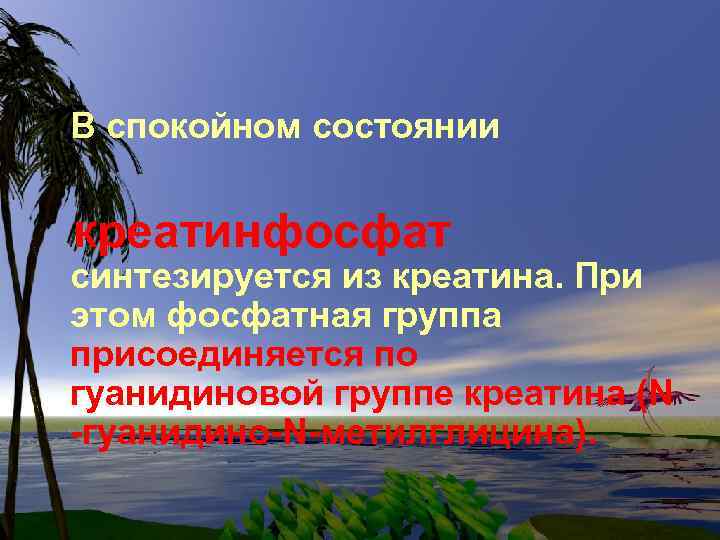 В спокойном состоянии креатинфосфат синтезируется из креатина. При этом фосфатная группа присоединяется по гуанидиновой