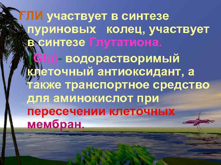 ГЛИ участвует в синтезе пуриновых колец, участвует в синтезе Глутатиона. (Glu)- водорастворимый клеточный антиоксидант,