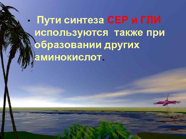  • Пути синтеза СЕР и ГЛИ используются также при образовании других аминокислот. 