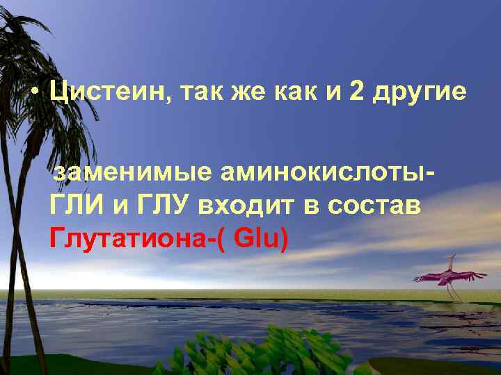  • Цистеин, так же как и 2 другие заменимые аминокислоты. ГЛИ и ГЛУ