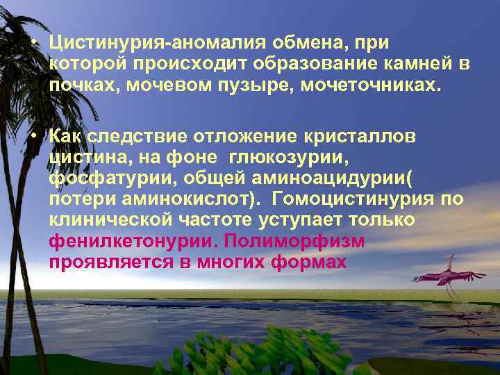  • Цистинурия-аномалия обмена, при которой происходит образование камней в почках, мочевом пузыре, мочеточниках.