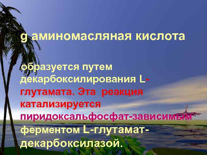 g аминомасляная кислота образуется путем декарбоксилирования Lглутамата. Эта реакция катализируется пиридоксальфосфат-зависимым ферментом L-глутамат- декарбоксилазой.