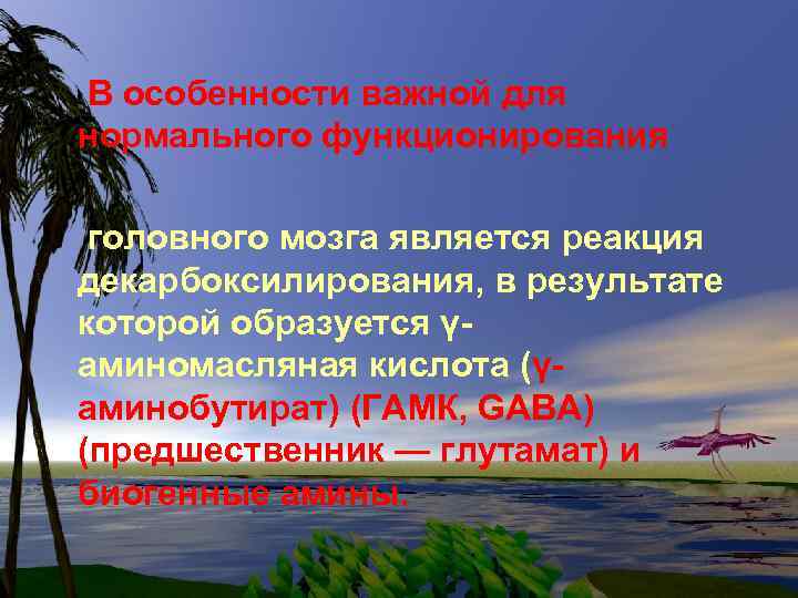 В особенности важной для нормального функционирования головного мозга является реакция декарбоксилирования, в результате которой