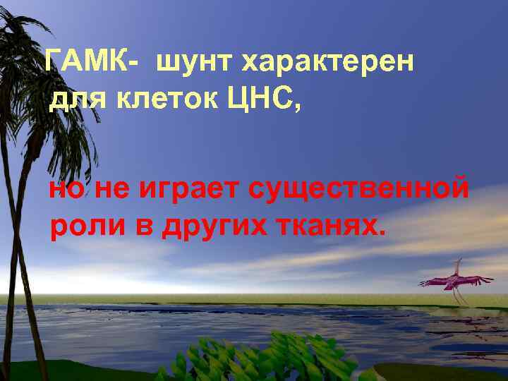 ГАМК- шунт характерен для клеток ЦНС, но не играет существенной роли в других тканях.