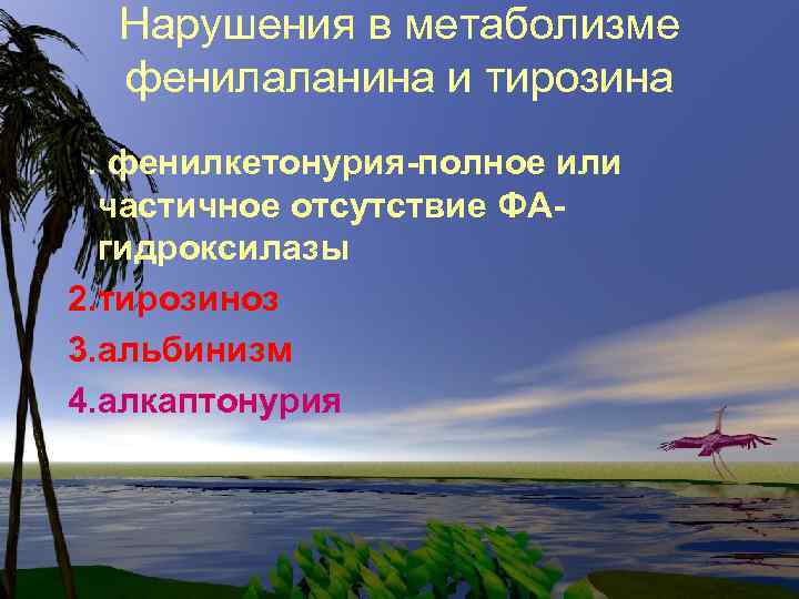 Нарушения в метаболизме фенилаланина и тирозина 1. фенилкетонурия-полное или частичное отсутствие ФАгидроксилазы 2. тирозиноз