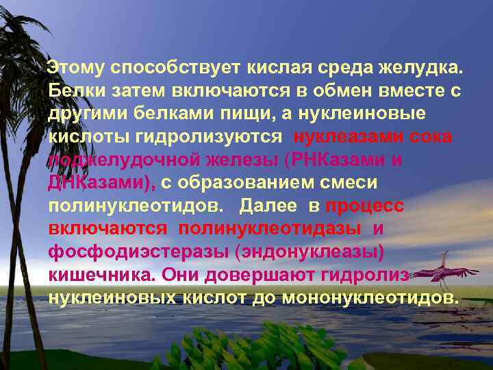 Этому способствует кислая среда желудка. Белки затем включаются в обмен вместе с другими белками