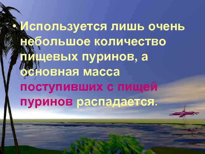  • Используется лишь очень небольшое количество пищевых пуринов, а основная масса поступивших с