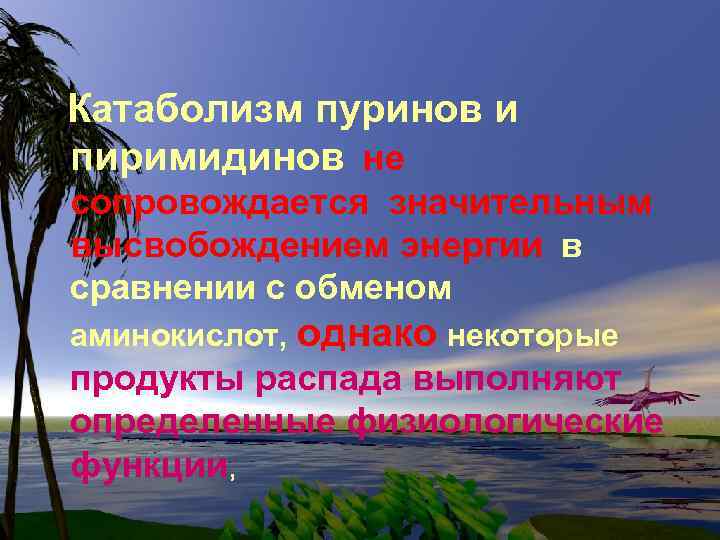 Катаболизм пуринов и пиримидинов не сопровождается значительным высвобождением энергии в сравнении с обменом аминокислот,