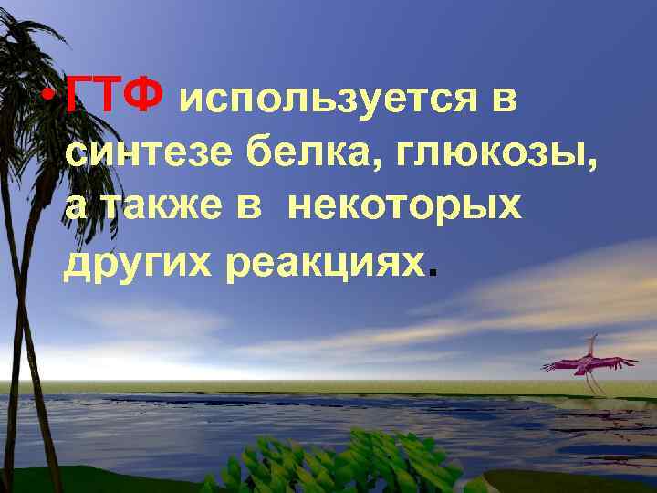  • ГТФ используется в синтезе белка, глюкозы, а также в некоторых других реакциях.