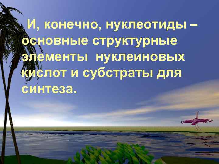 И, конечно, нуклеотиды – основные структурные элементы нуклеиновых кислот и субстраты для синтеза. 