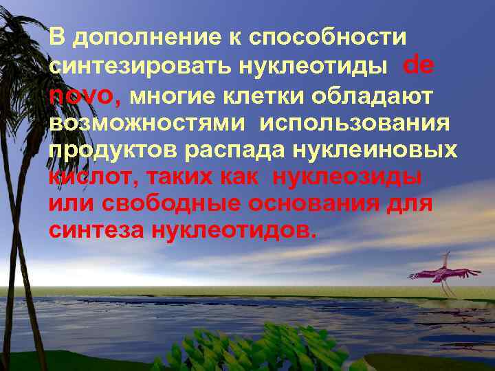 В дополнение к способности синтезировать нуклеотиды de novo, многие клетки обладают возможностями использования продуктов