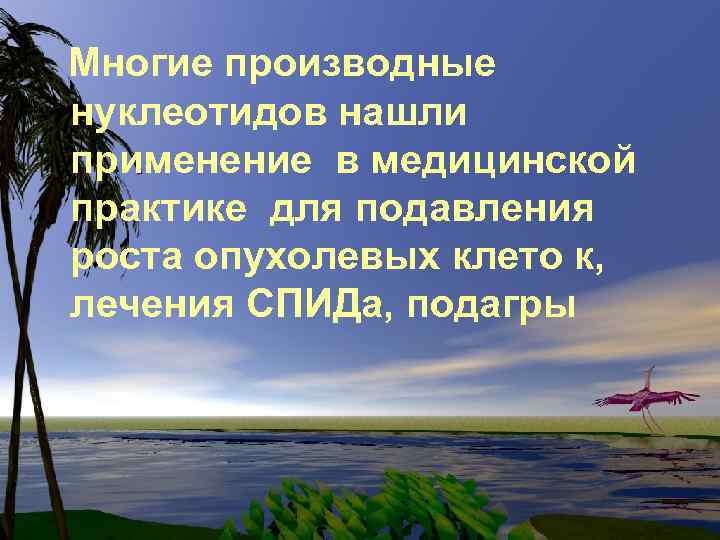 Многие производные нуклеотидов нашли применение в медицинской практике для подавления роста опухолевых клето к,