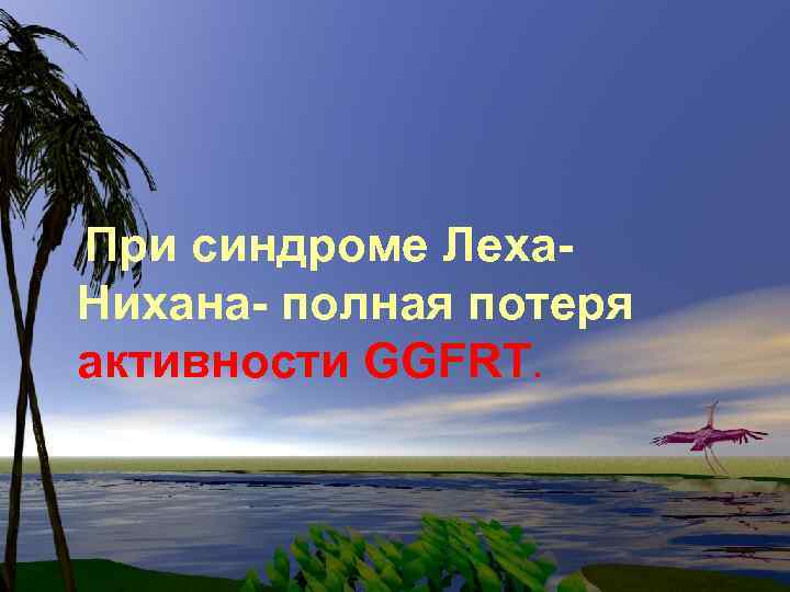 При синдроме Леха. Нихана- полная потеря активности GGFRT. 