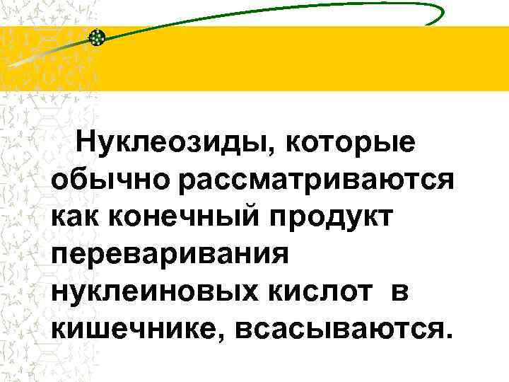 Нуклеозиды, которые обычно рассматриваются как конечный продукт переваривания нуклеиновых кислот в кишечнике, всасываются. 