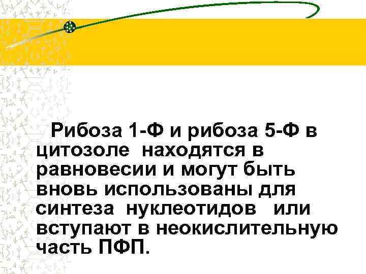 Рибоза 1 -Ф и рибоза 5 -Ф в цитозоле находятся в равновесии и могут