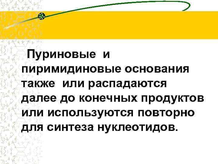 Пуриновые и пиримидиновые основания также или распадаются далее до конечных продуктов или используются повторно