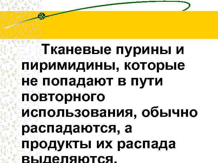 Тканевые пурины и пиримидины, которые не попадают в пути повторного использования, обычно распадаются, а