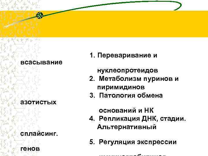 всасывание азотистых сплайсинг. генов 1. Переваривание и нуклеопротеидов 2. Метаболизм пуринов и пиримидинов 3.