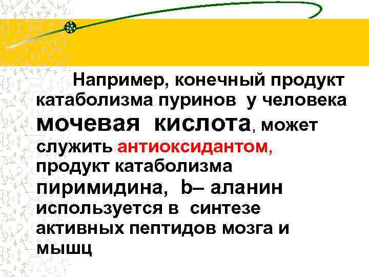 Например, конечный продукт катаболизма пуринов у человека мочевая кислота, может служить антиоксидантом, продукт катаболизма