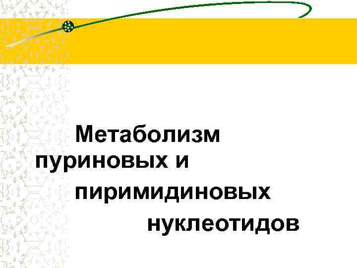 Метаболизм пуриновых и пиримидиновых нуклеотидов 