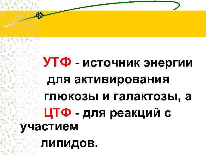 УТФ - источник энергии для активирования глюкозы и галактозы, а ЦТФ - для реакций