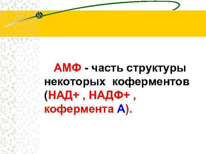 AMФ - часть структуры некоторых коферментов (НАД+ , НАДФ+ , кофермента A). 