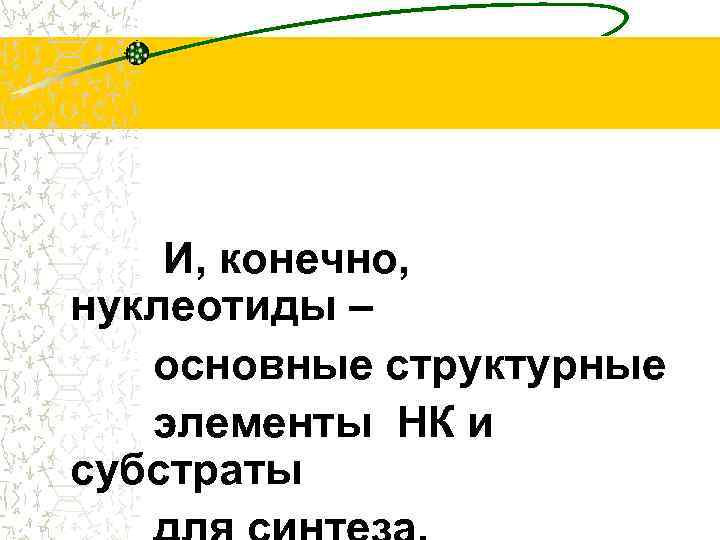 И, конечно, нуклеотиды – основные структурные элементы НК и субстраты 