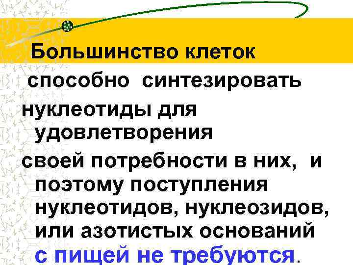 Большинство клеток способно синтезировать нуклеотиды для удовлетворения своей потребности в них, и поэтому поступления