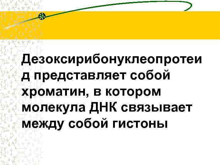Дезоксирибонуклеопротеи д представляет собой хроматин, в котором молекула ДНК связывает между собой гистоны 