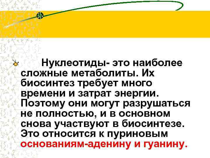 Нуклеотиды- это наиболее сложные метаболиты. Их биосинтез требует много времени и затрат энергии. Поэтому