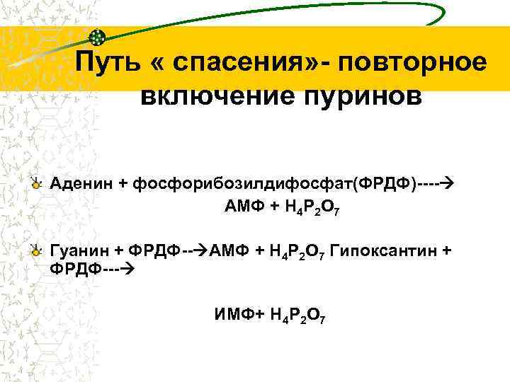 Путь « спасения» - повторное включение пуринов Аденин + фосфорибозилдифосфат(ФРДФ)---- АМФ + Н 4