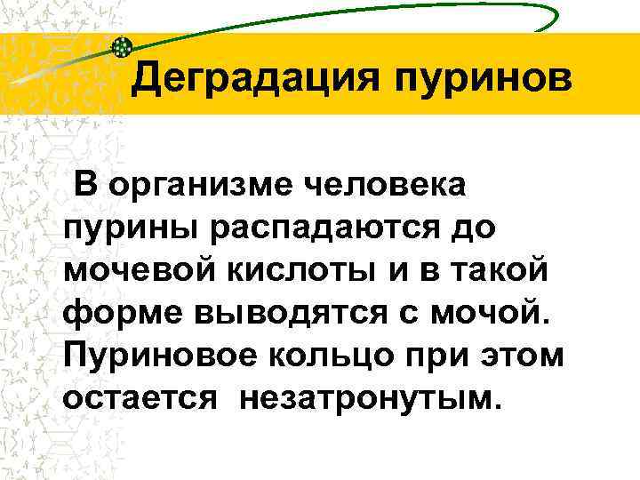 Деградация пуринов В организме человека пурины распадаются до мочевой кислоты и в такой форме