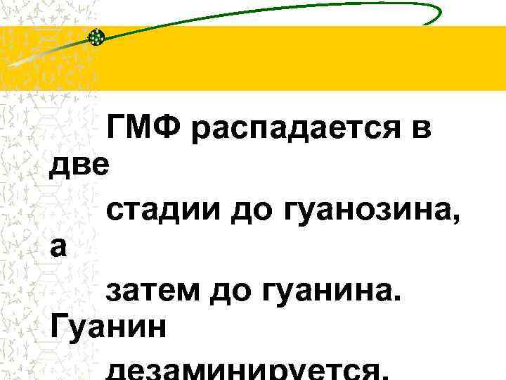 ГМФ распадается в две стадии до гуанозина, а затем до гуанина. Гуанин 
