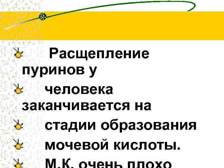 Расщепление пуринов у человека заканчивается на стадии образования мочевой кислоты. 