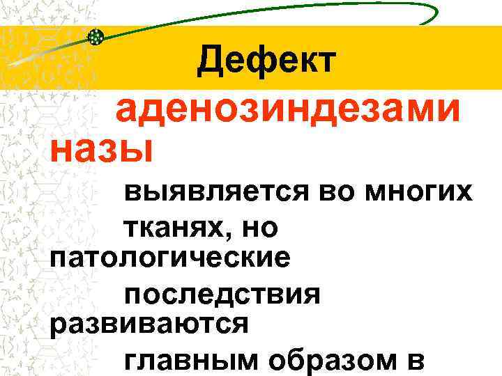 Дефект аденозиндезами назы выявляется во многих тканях, но патологические последствия развиваются главным образом в