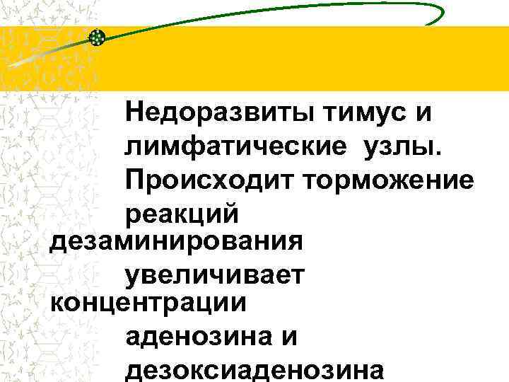 Недоразвиты тимус и лимфатические узлы. Происходит торможение реакций дезаминирования увеличивает концентрации аденозина и дезоксиаденозина