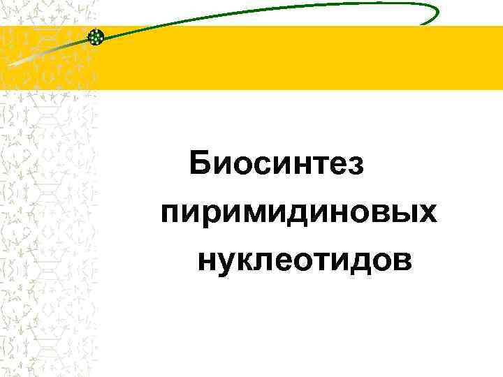 Биосинтез пиримидиновых нуклеотидов 