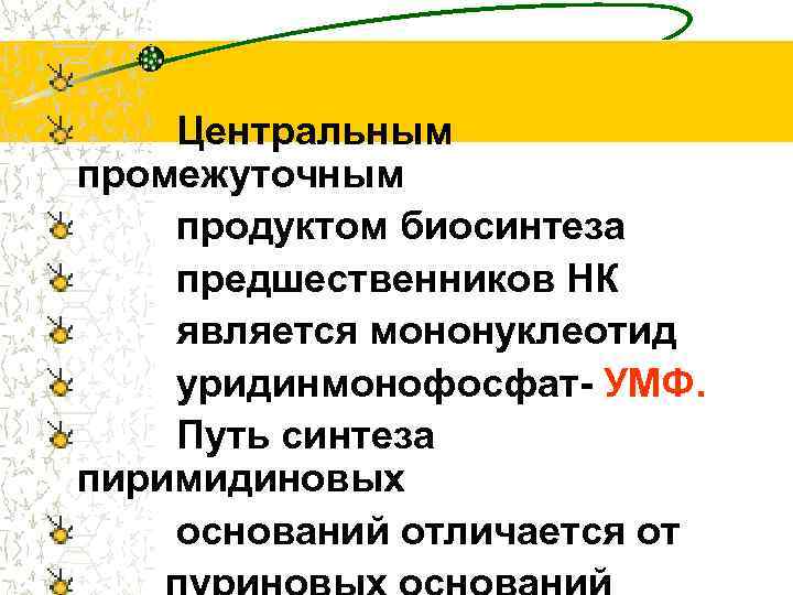 Центральным промежуточным продуктом биосинтеза предшественников НК является мононуклеотид уридинмонофосфат- УМФ. Путь синтеза пиримидиновых оснований